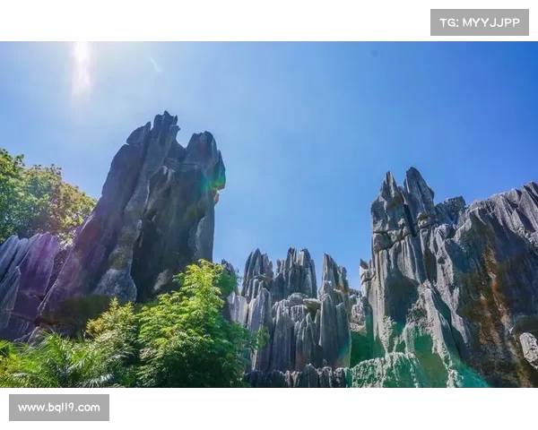 石林:探索大自然奇观,体验户外运动的极致魅力 石林:探索大自然奇观,体验户外运动的极致魅力