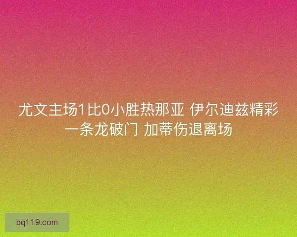 尤文主场1比0小胜热那亚 伊尔迪兹精彩一条龙破门 加蒂伤退离场
